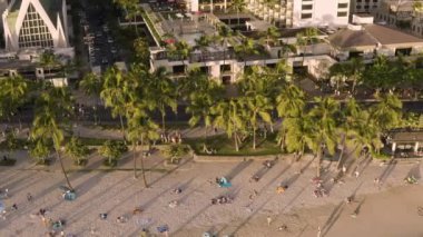 Aerial, drone footage of Waikiki Beach Palm trees and sandy coast during sunset on Oahu