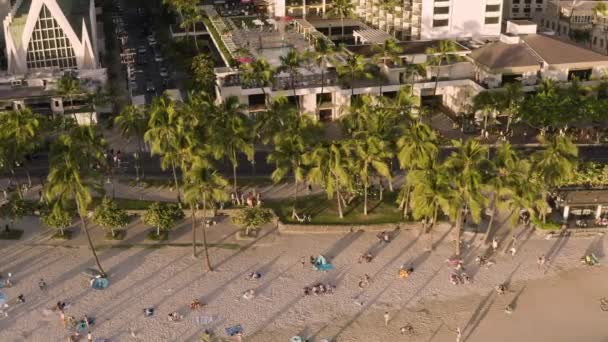 Aerial Drone Footage Waikiki Beach Palm Trees Sandy Coast Sunset — Stock videók