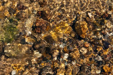 Sığ bir derenin dibine yakın çekim, taşlar, akıntılar. Güneş suda parlıyor, akıntının donmuş hareketi..