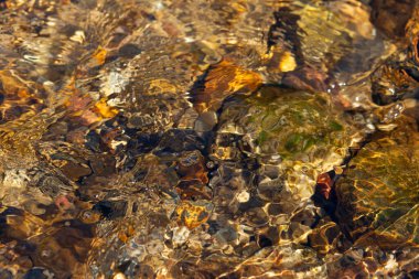 Sığ bir derenin dibine yakın çekim, taşlar, akıntılar. Güneş suda parlıyor, akıntının donmuş hareketi..