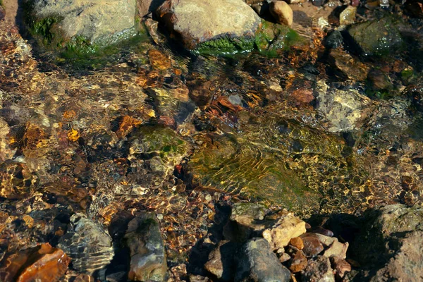 Κοντινό Πλάνο Του Βυθού Ενός Ρηχού Ρυακιού Πέτρες Ορμητικά Νερά — Φωτογραφία Αρχείου