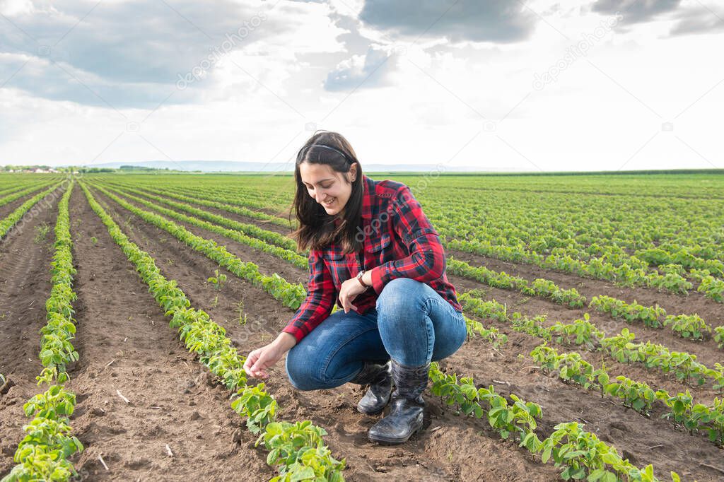 A young female farmer in a soybean field in the spring 