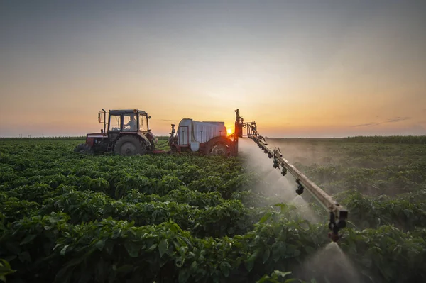 Trator Pulverização Pesticidas Campo Vegetal Com Pulverizador Verão — Fotografia de Stock