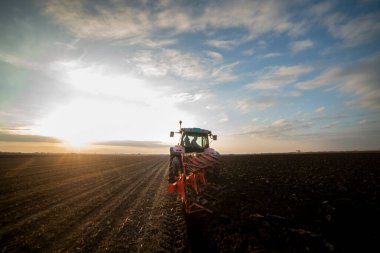 Traktör tarlada çalışıyor, tarlayı ekime hazırlıyor, tarlayı sürüyor.