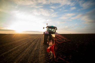 Traktör tarlada çalışıyor, tarlayı ekime hazırlıyor, tarlayı sürüyor.