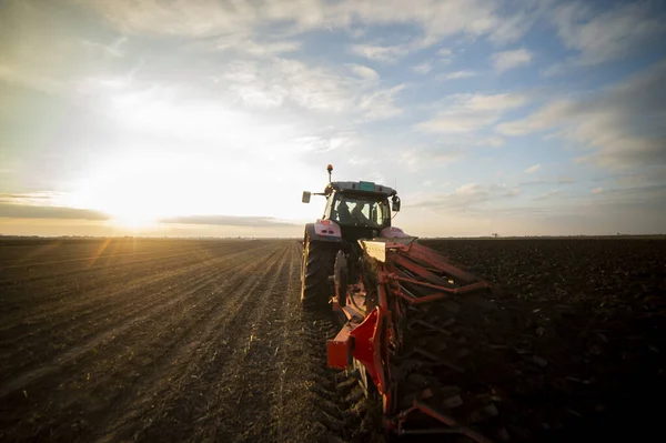 Traktör tarlada çalışıyor, tarlayı ekime hazırlıyor, tarlayı sürüyor.