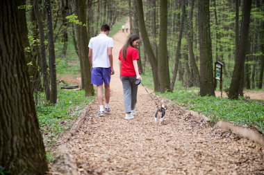 Genç bir kız ve bir oğlan baharda av köpekleriyle ormanda yürüyorlar.