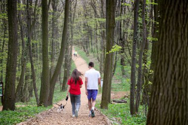 Genç bir kız ve bir oğlan baharda av köpekleriyle ormanda yürüyorlar.