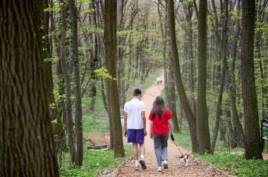 Genç bir kız ve bir oğlan baharda av köpekleriyle ormanda yürüyorlar.