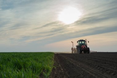 Traktör tohumu olan çiftçi - ilkbaharda tarım tarlalarına ekin ekiyor.