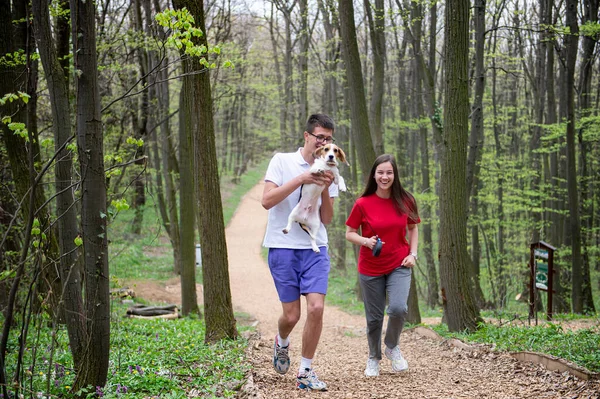 Genç bir kız ve bir oğlan baharda köpekleri Beagle ile ormanda koşuyorlar.