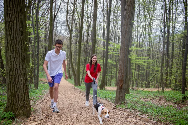 Genç bir kız ve bir oğlan baharda av köpekleriyle ormanda yürüyorlar.