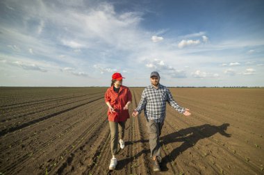 Genç çiftçiler baharda ekilen mısırları inceliyor.