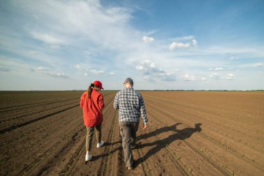 Genç çiftçiler baharda ekilen mısırları inceliyor.