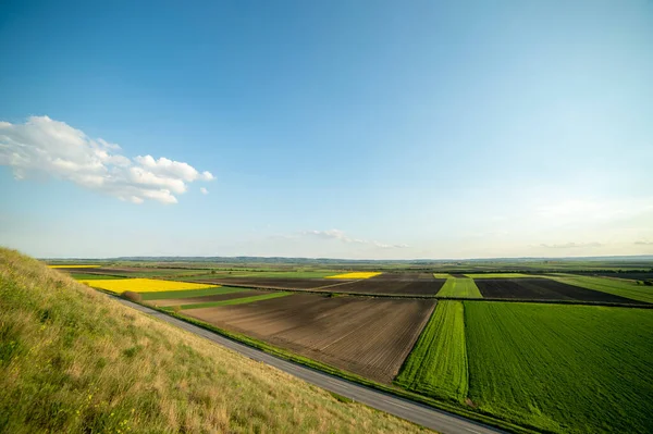 Striped Arable Land Green Grain Yellow Canola Spring View Air — Stock Photo, Image