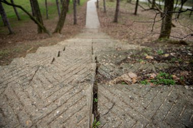 Ormandan geçen patika yürüyüşü. 