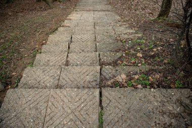 Doğadaki eski taş merdivenler 