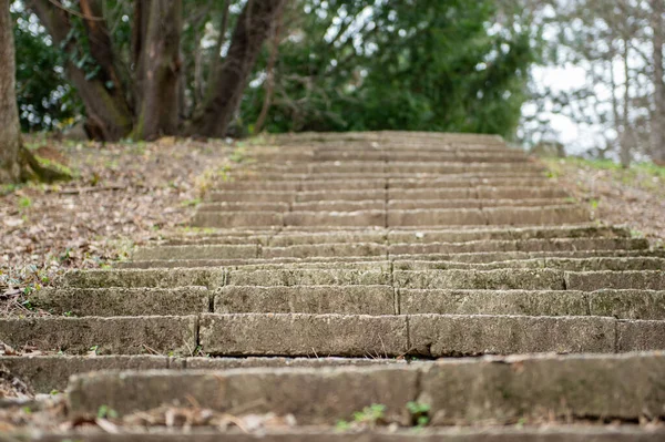 Doğadaki eski taş merdivenler 