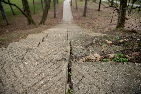 Ormandan geçen patika yürüyüşü. 
