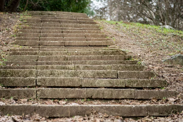 Doğadaki eski taş merdivenler 