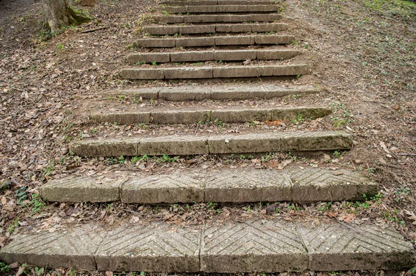 Doğadaki eski taş merdivenler 