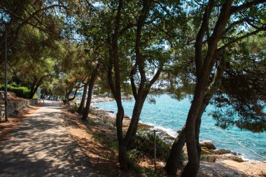 Hırvatistan 'ın Vrsar kentinde, Casanova' nın yaşadığı yer ve şehirlerden biri olan Istrian yarımadasında. Casanova 'nın bank ve terası var. Limanı olan güzel bir şehir. 