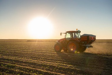 Traktör yapay gübre yayıyor. Ulaşım, tarım.