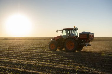Traktör yapay gübre yayıyor. Ulaşım, tarım.