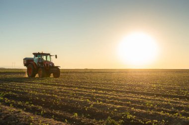 Traktör yapay gübre yayıyor. Ulaşım, tarım.
