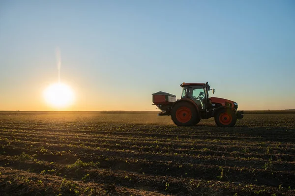 Tractor Die Kunstmest Verspreidt Vervoer Landbouw — Stockfoto