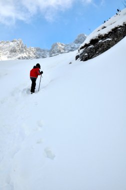 Kışın dağ adamı