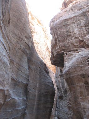 Petra与卡通鱼在蓝色背景上的无缝模式