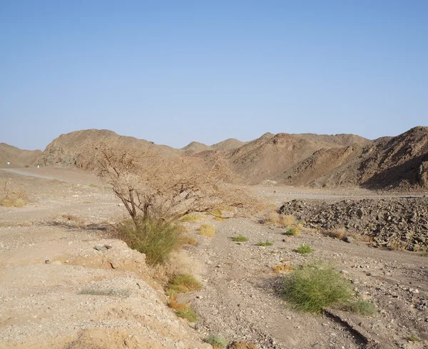 Wadi shahamon bei eilat — Stockfoto