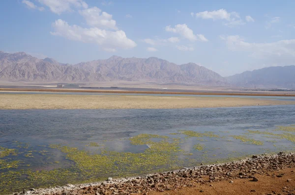 Lago salato vicino a Eilat — Foto Stock