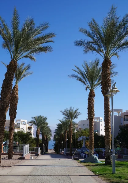 sokakta eilat, İsrail