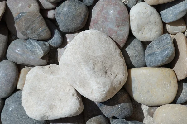 Multicolored pebbles background — Stock Photo, Image