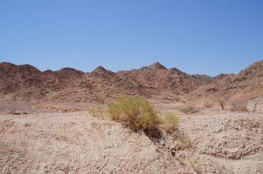 eilat yakınlarında Wadi shahamon
