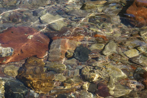 Agua de mar clara y piedras —  Fotos de Stock