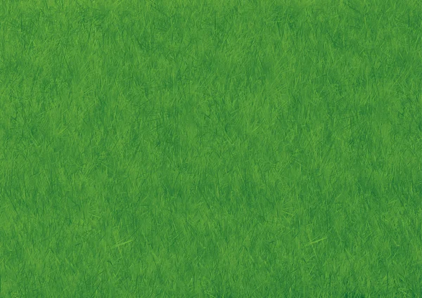 Зеленое травяное поле. — стоковое фото