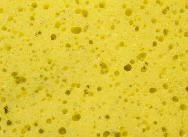 Texture spugna gialla — Foto Stock