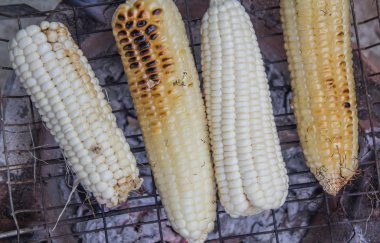 ızgara kavrulmuş tatlı mısır 