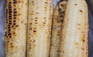 ızgara kavrulmuş tatlı mısır 