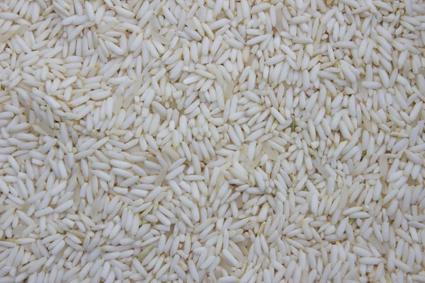 Fond de riz blanc non cuit — Photo