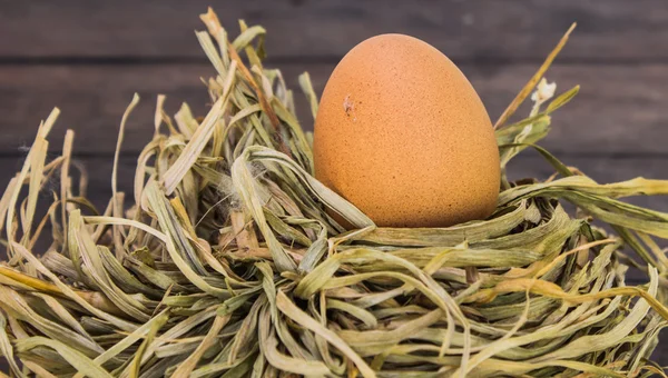 Eggs in the hay nest — Stock Photo, Image