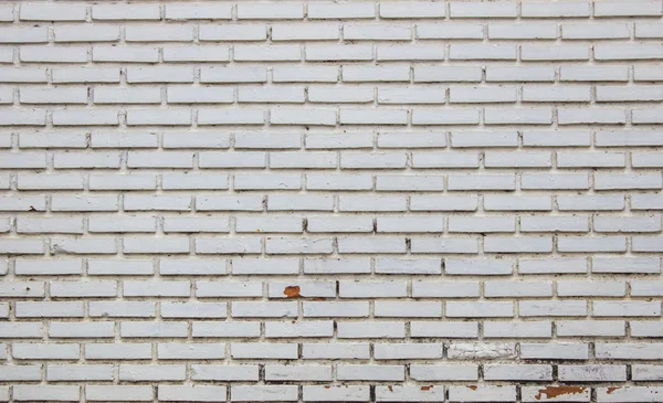 Square vit tegel vägg bakgrund — Stockfoto