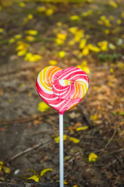 Lollipops on a love background — Stock Photo, Image