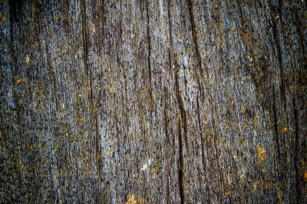 Texture of bark wood use as natural background — Stock Photo, Image