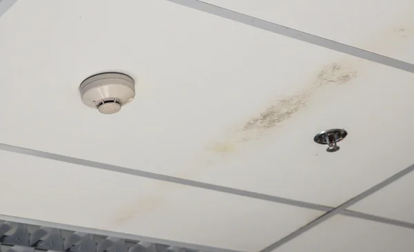 Smoke detector fitted on a ceiling — Stock Photo, Image