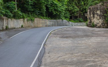 Her iki tarafında bir ağaç boş yol