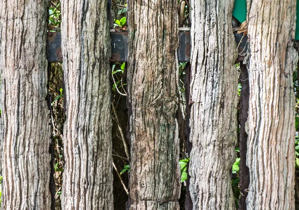 Fundo de madeira velha — Fotografia de Stock